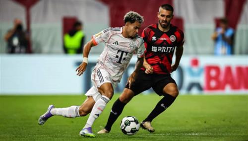 Learn Betting: Essential Guide for Beginners